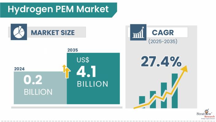 Hydrogen-PEM-Market-Insights